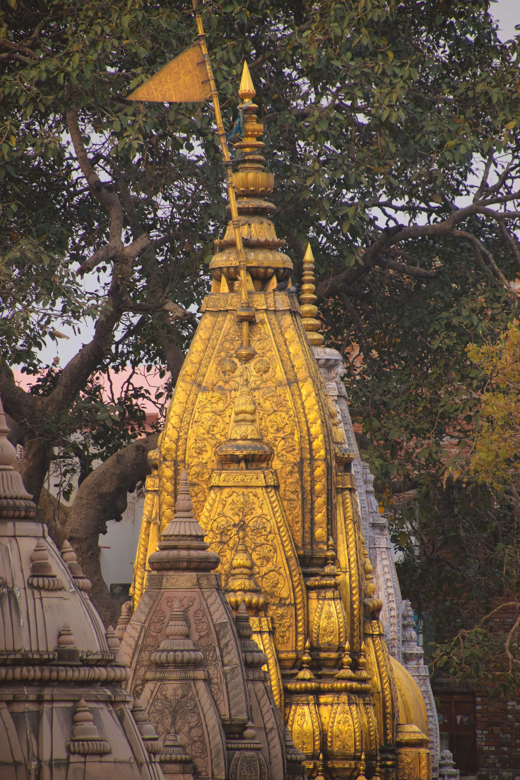 Kashi Varanasi